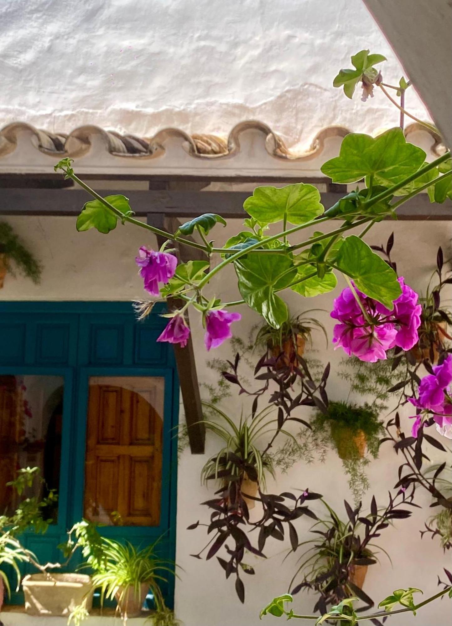 La Buganvilla De Santiago Córdoba Eksteriør bilde