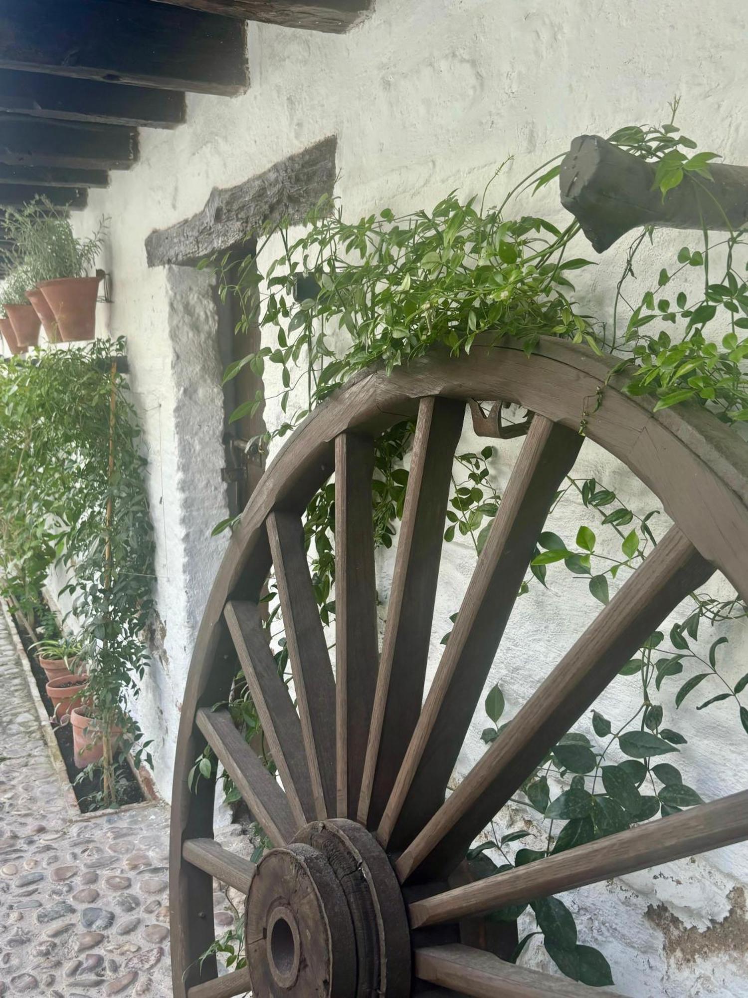 La Buganvilla De Santiago Córdoba Eksteriør bilde