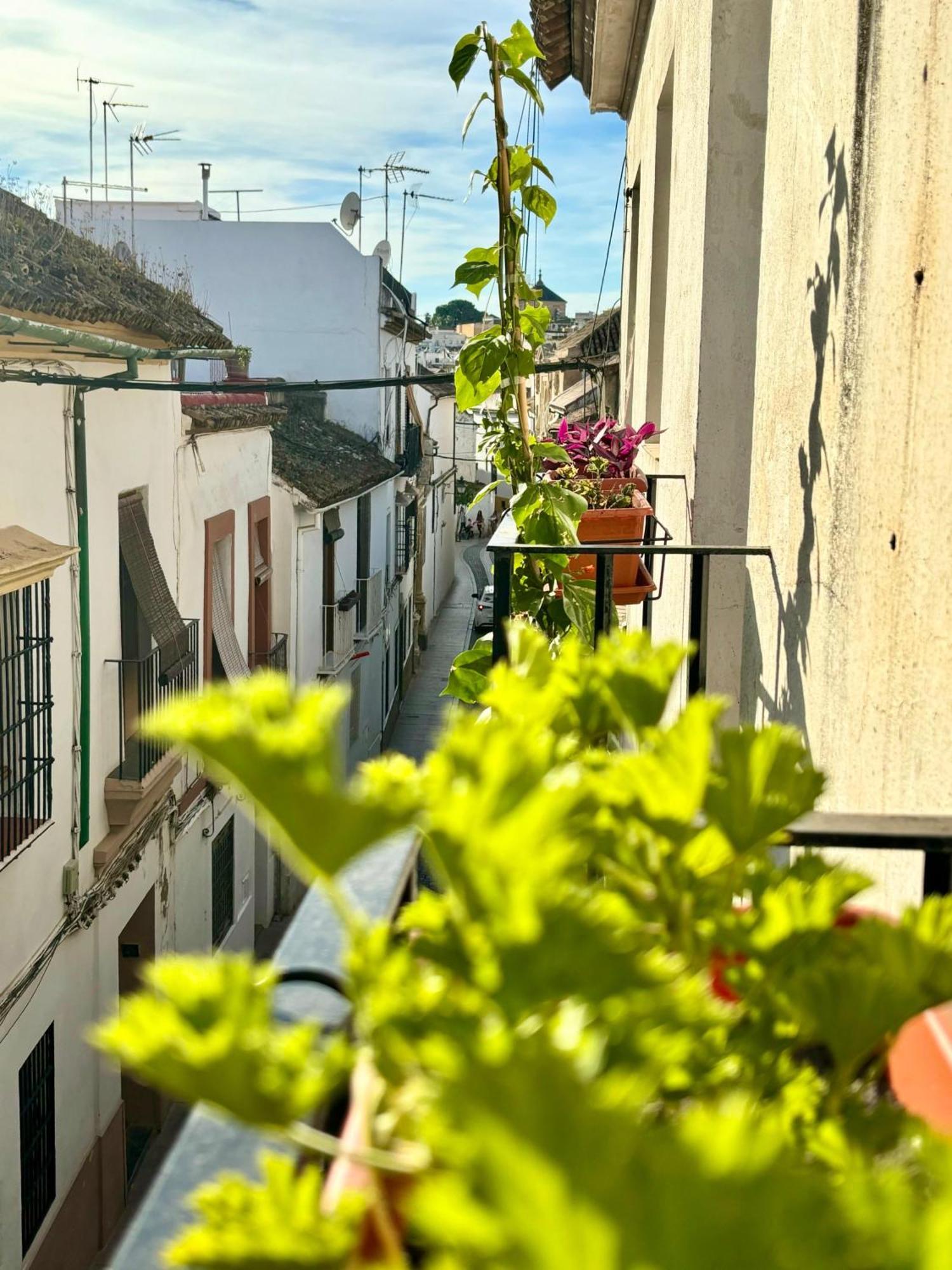 La Buganvilla De Santiago Córdoba Eksteriør bilde